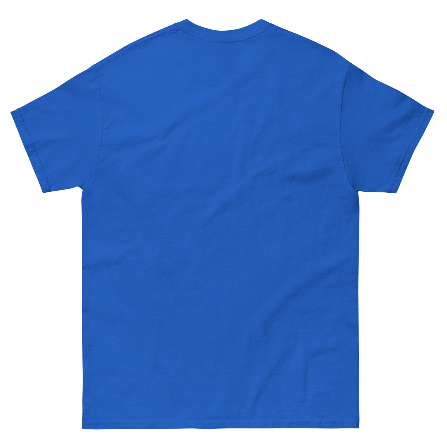 UNISEX T-SHIRT — NAŠI X WM EDITION '26 — BOSNIA LEGENDS in back view, NASHE Balkan T-shirt