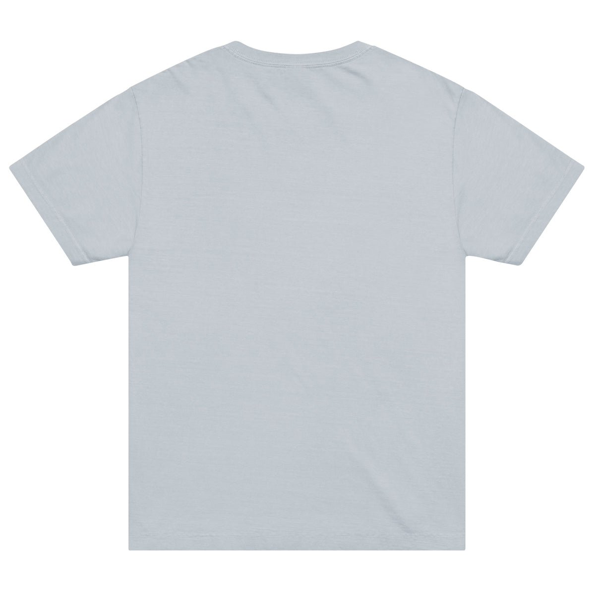 Unisex t-shirt - jebiga. in denim, back view, NASHE Balkan T-shirt