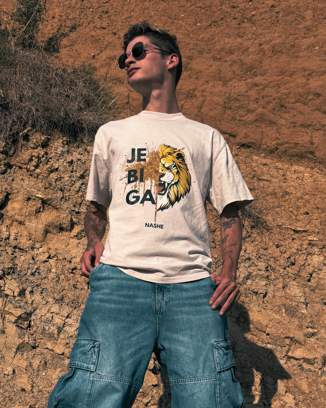 Describes the appearance of the image