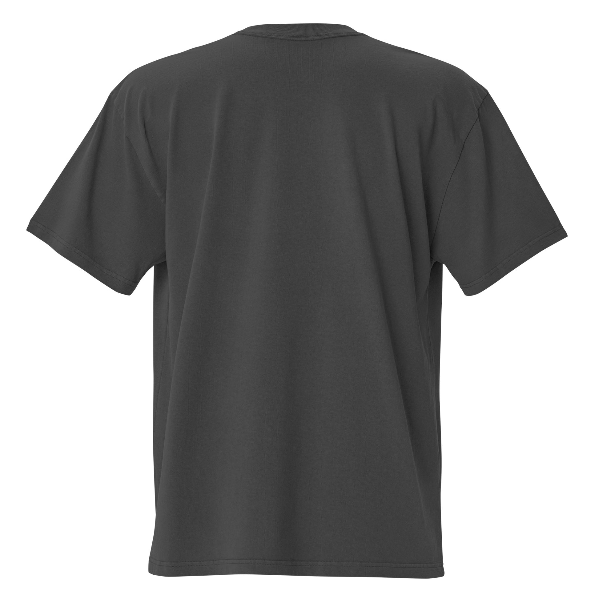 Oversized faded t-shirt - Moje sunce in faded black, back view, NASHE Balkan T-shirt