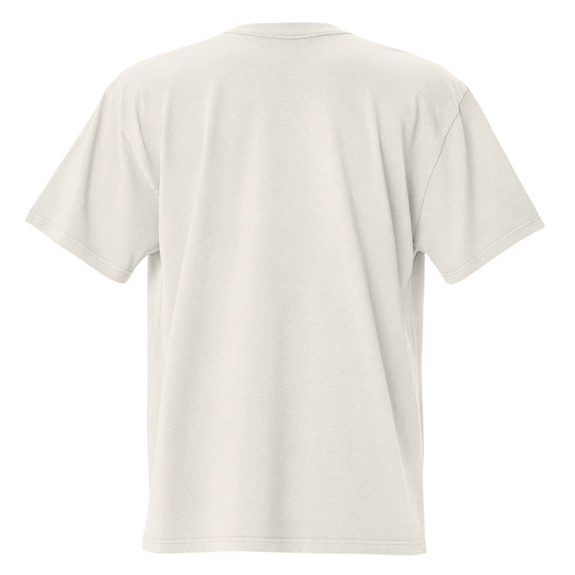 Oversized faded t-shirt - Sipaj i ne pitaj in faded bone, back view, NASHE Balkan T-shirt