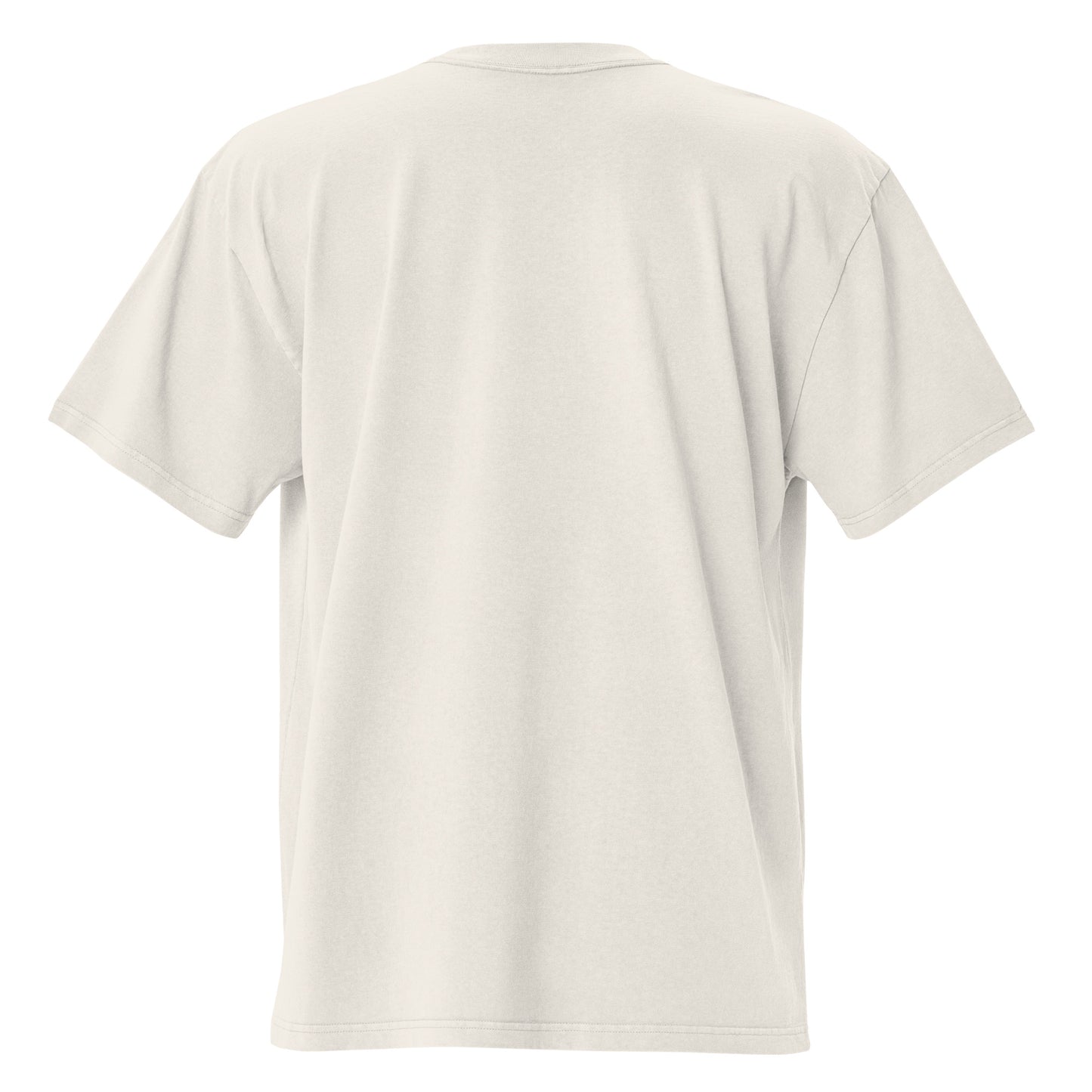 Oversized faded t-shirt - Ti biraš. in faded bone, back view, NASHE Balkan T-shirt