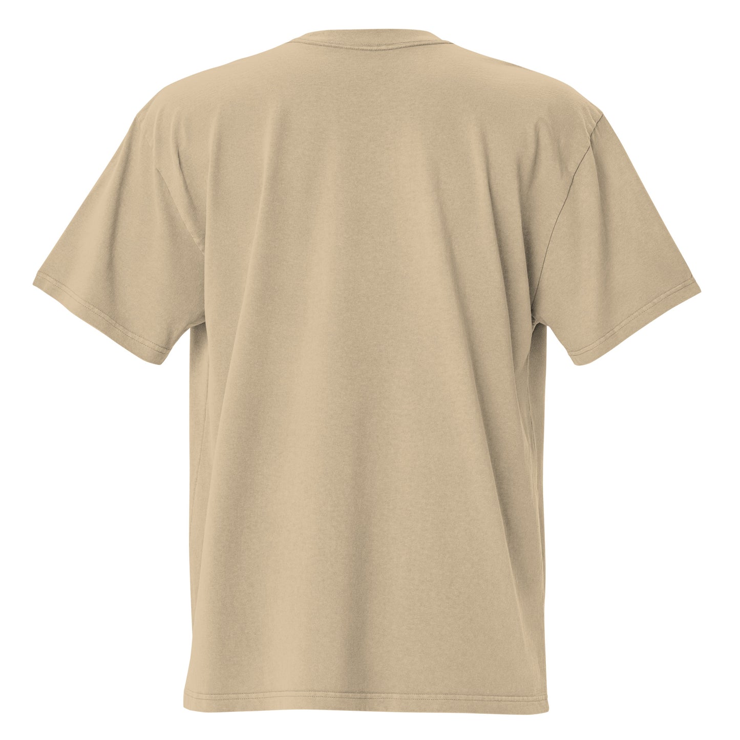 Oversized faded t-shirt - Ti biraš. in khaki, back view, NASHE Balkan T-shirt
