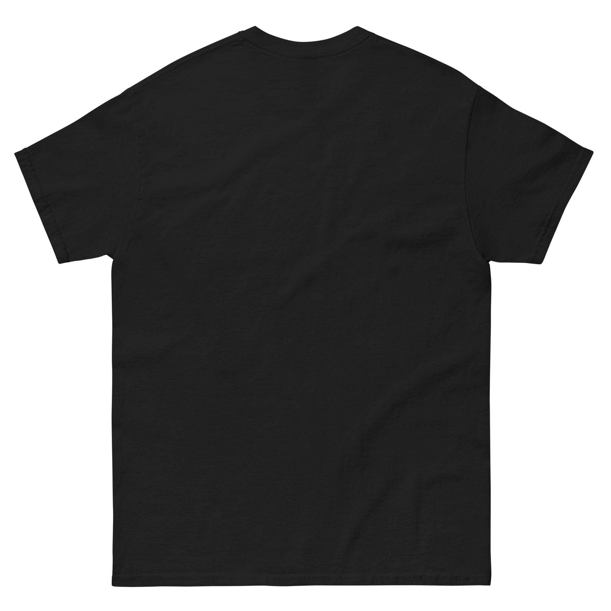 Unisex T-Shirt - NAŠI X WM EDITION '26 — BOSNIA in black, back view, NASHE Balkan T-shirt