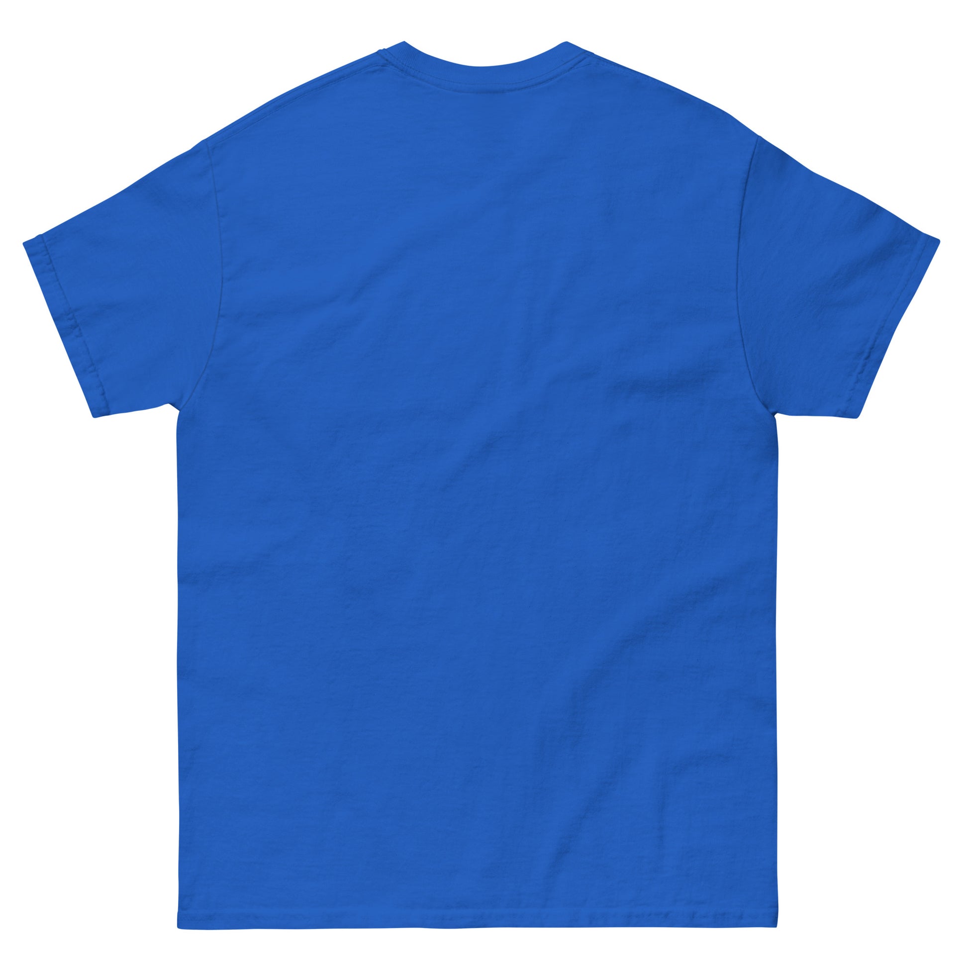 UNISEX T-SHIRT — NAŠI X WM EDITION '26 — BOSNIA LEGENDS in back view, NASHE Balkan T-shirt