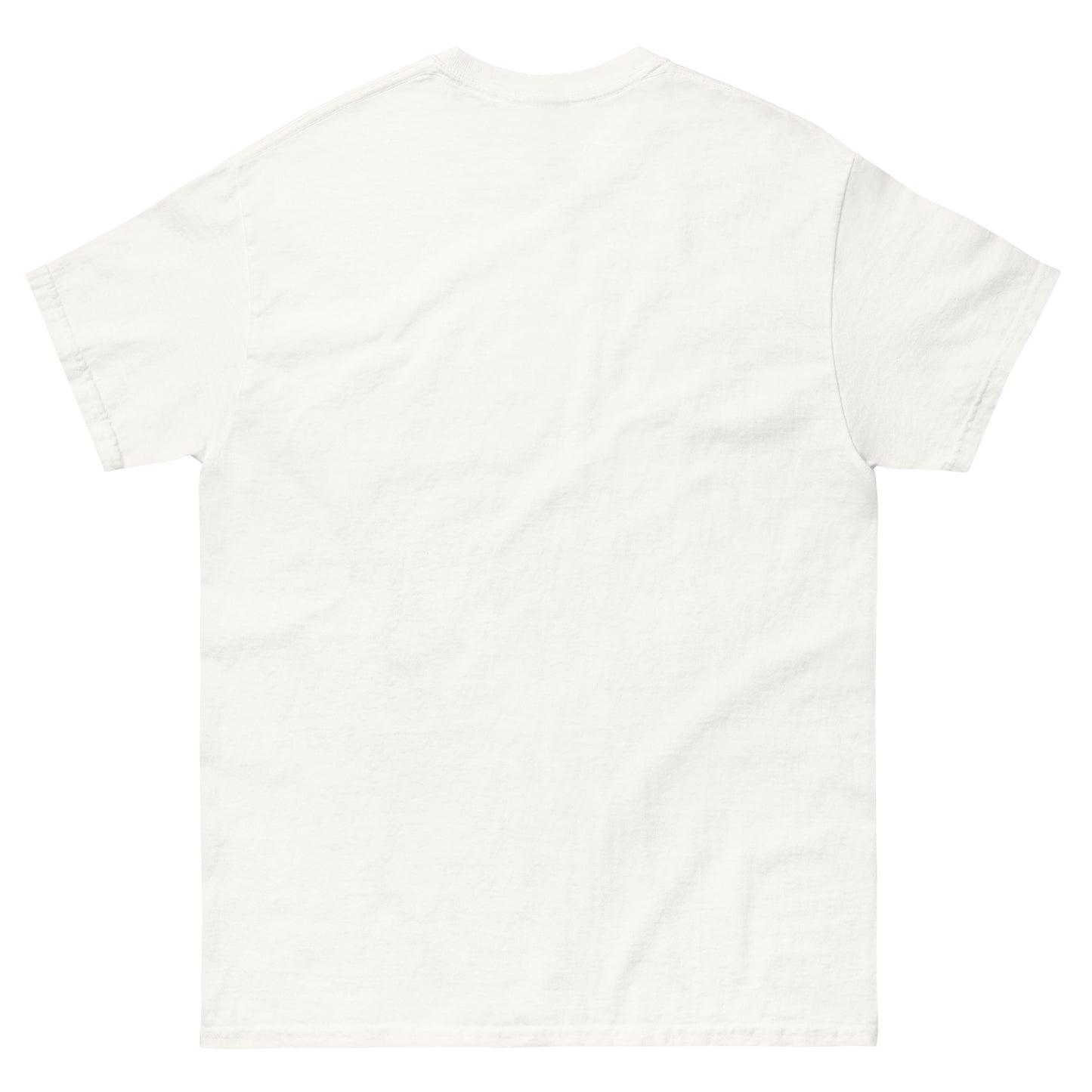 UNISEX T-SHIRT — NAŠI X WM EDITION '26 — BOSNIA LEGENDS in white, back view, NASHE Balkan T-shirt