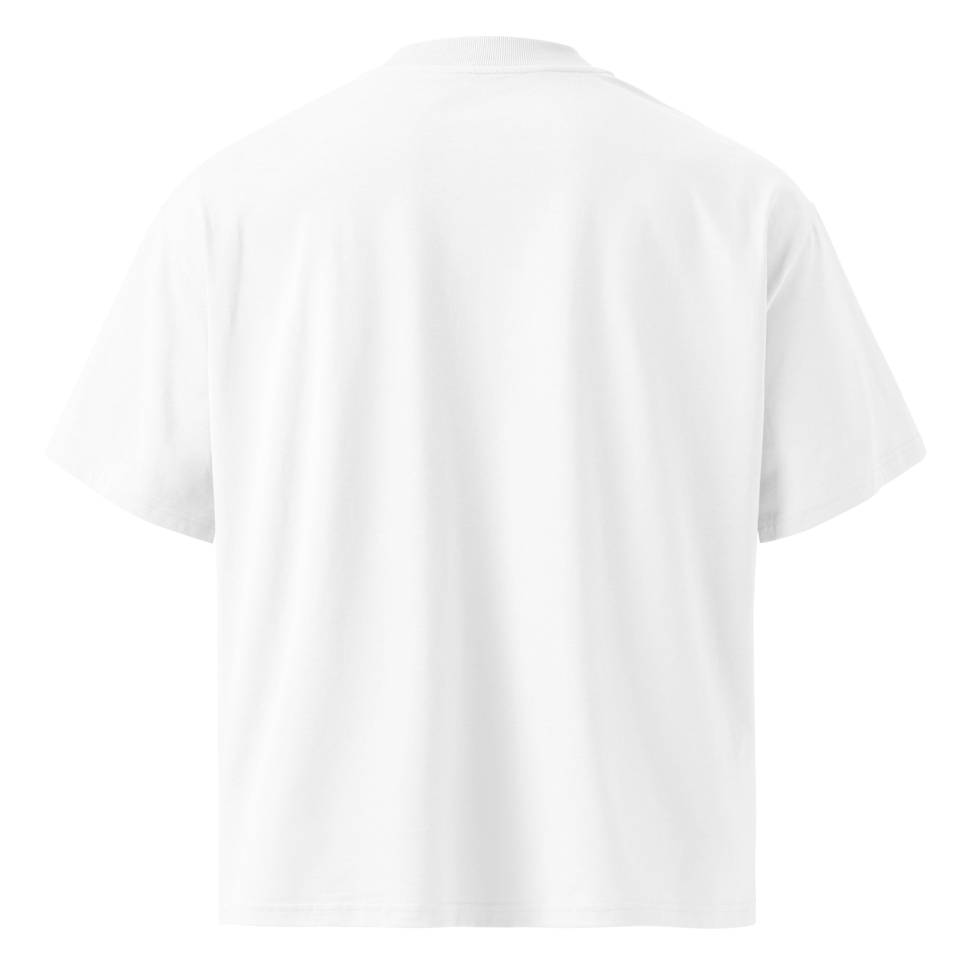 Organic oversized high neck t-shirt - Leto 26’ in white, back view, NASHE Balkan T-shirt